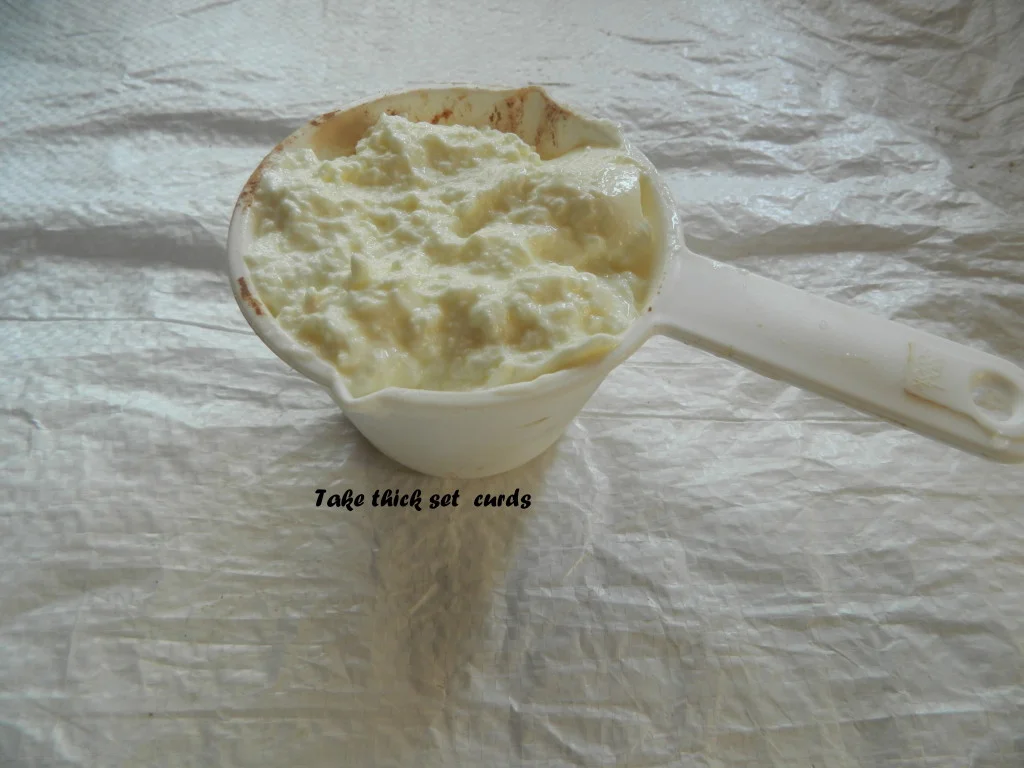 DSCN1485